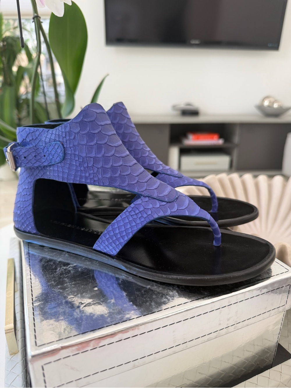 Sigerson Morrison Women's Purple Thong Sandals